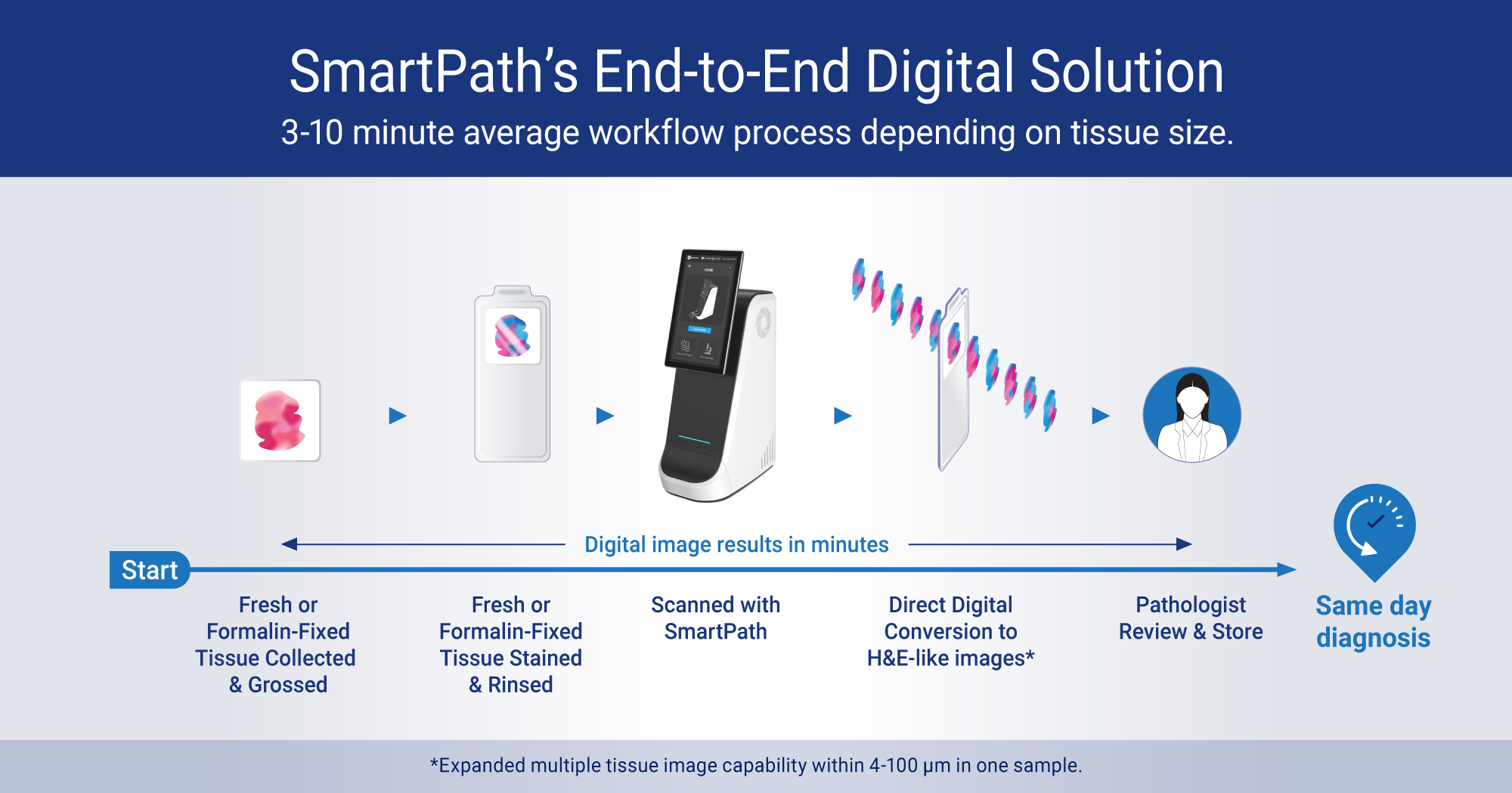 MUSE-SP-End-to-End-Digital-Solution-Graphic
