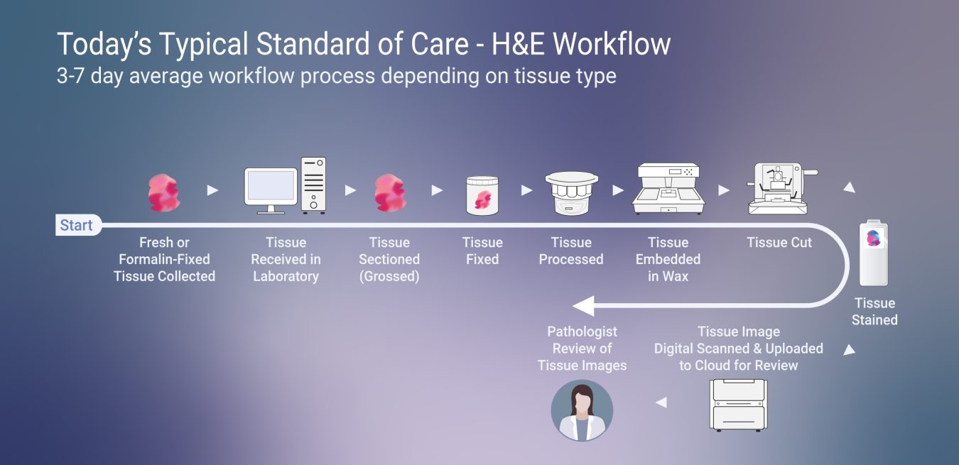 Typical-Standard-of-H&E-Workflow